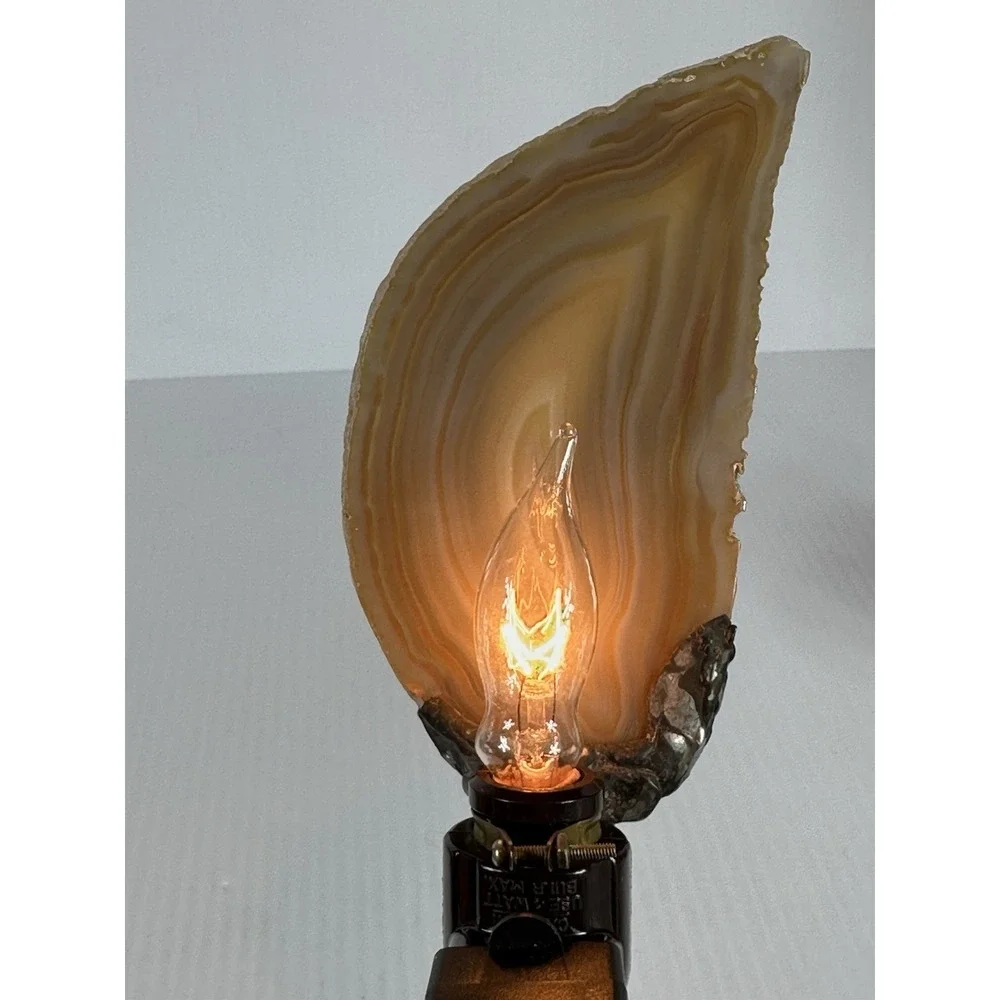 Vintage Agate Slice Nightlight Wall‎ Plug In Pine Tree Forest Mountain Decor